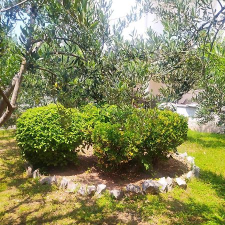 Apartmani Trubi 2 Vodice Esterno foto