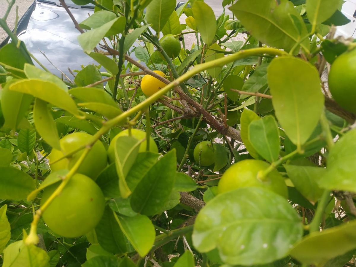 Apartmani Trubi 2 Vodice Esterno foto